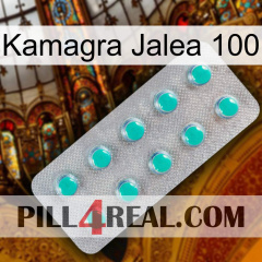 Kamagra Jelly 100 28